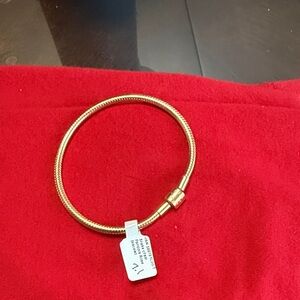 Elegant Pandora rose Bracelet